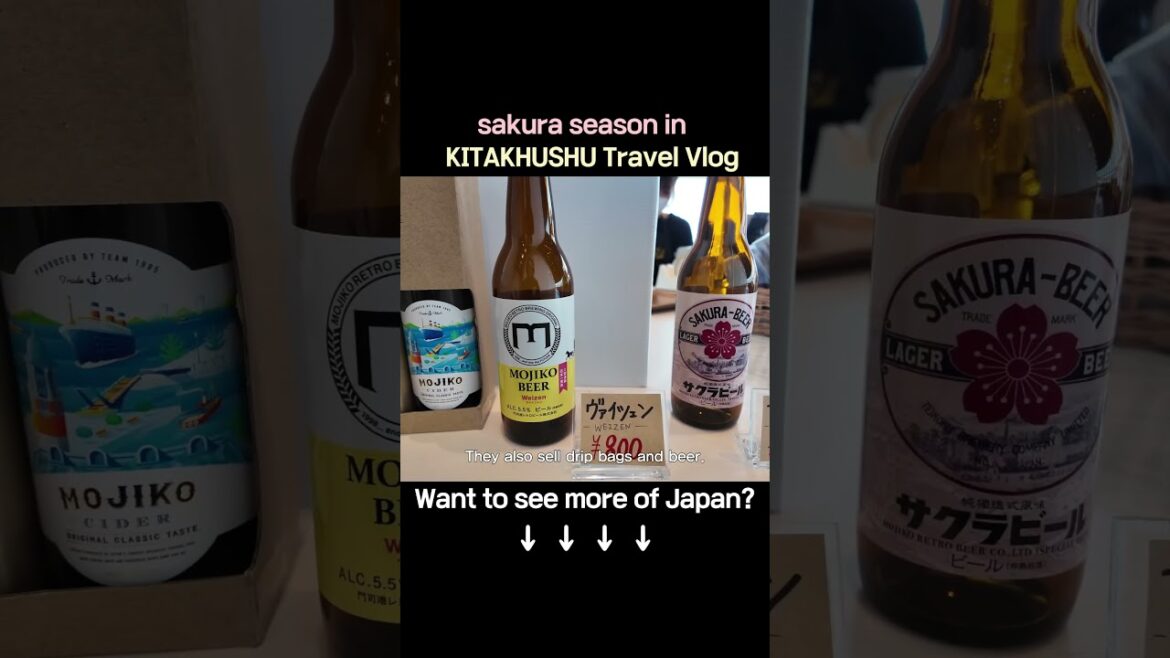 Hidden Gems: Cafés You Must Try in Kitakyushu｜北九州の隠れ家カフェ紹介｜北九州必訪秘境咖啡店 #travel #japantravel #japan