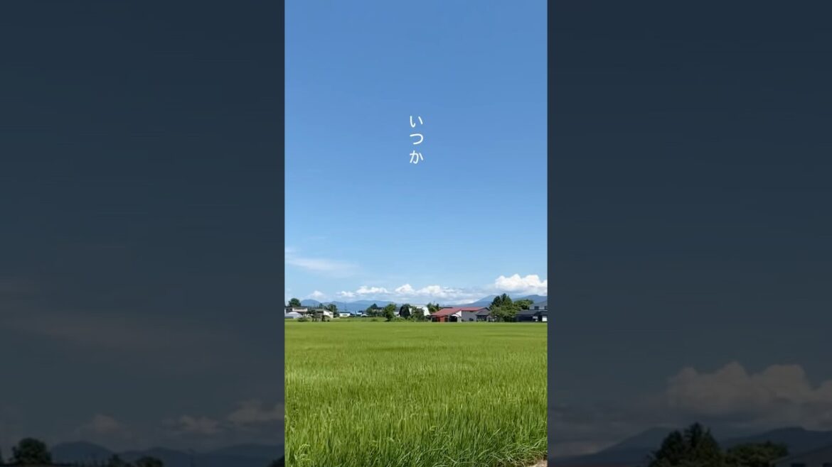 POV: You went on a summer road trip in Japan ❤️#summer#japan#summerinjapan  #akita #tohoku #秋田#東北