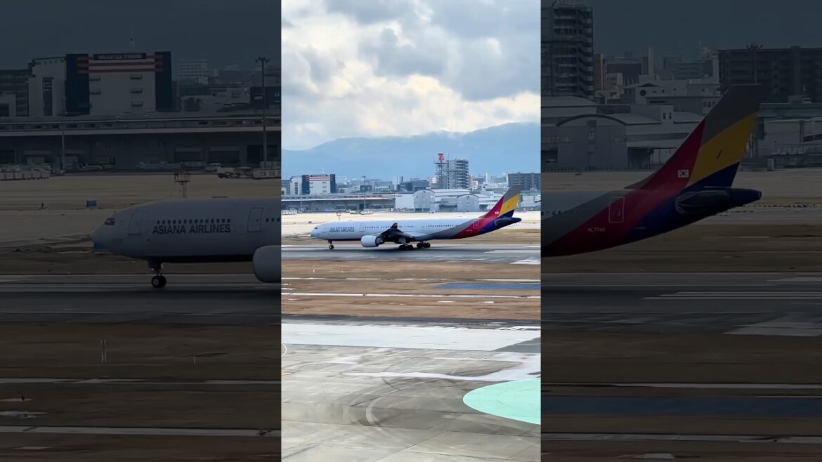 Asiana Airlines 133 taking off FUK-ICN #aviation #airbus330 #fukuoka #seoul #서울