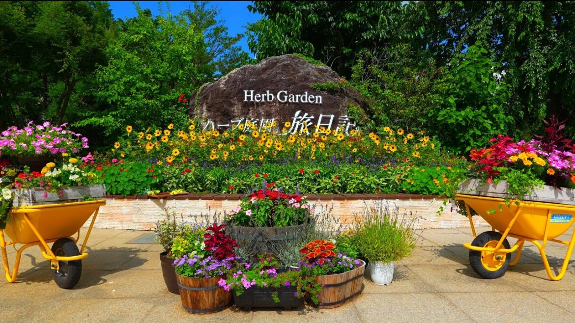 Free admission and highly recommended! Herb Garden Travel Diary! Free admission and highly recommended! Herb Garden Travel Diary!