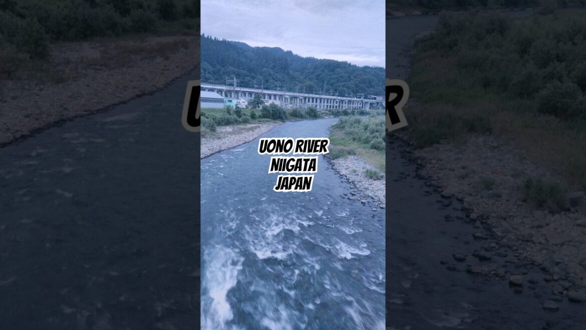 Uonogawa River Urasa #minamiuonuma #niigata #japan #iuj  #shorts