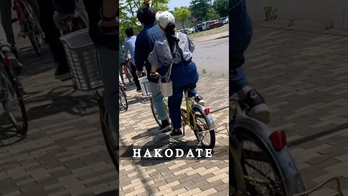 Cycling on ONUMA LAKE | Hakodate | Japan Lens #nature #relaxing