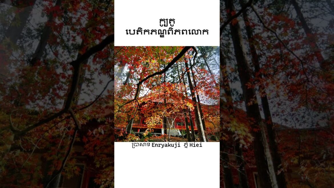 Kyoto World Heritage Sites #worldheritagesites  #kyotovlog  #unescosites