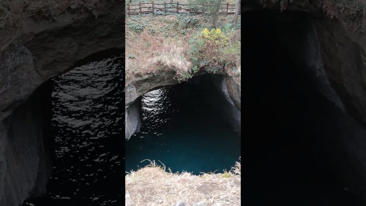 Izu, Shizuoka, Japan #3