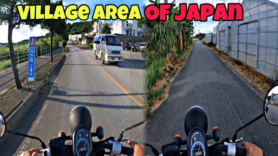 Okinawa Village Area Tour Ride || Natural Area Of Okinawa || Foreign Tourist In Japan