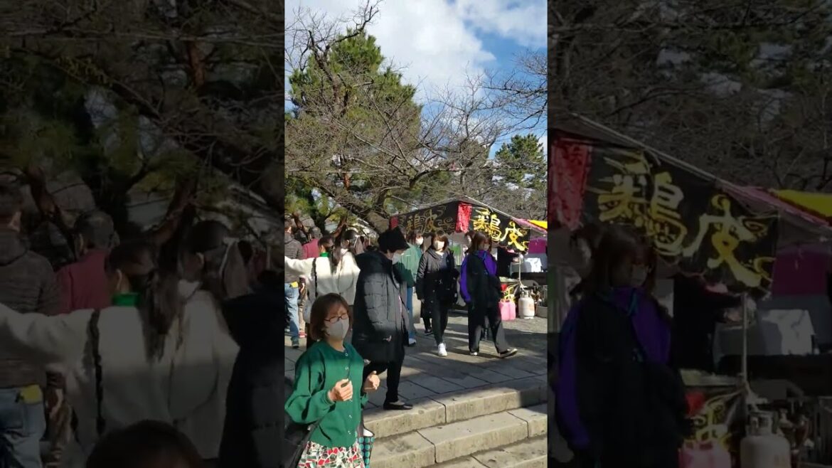Mishimataisha, Shizuoka  Japan