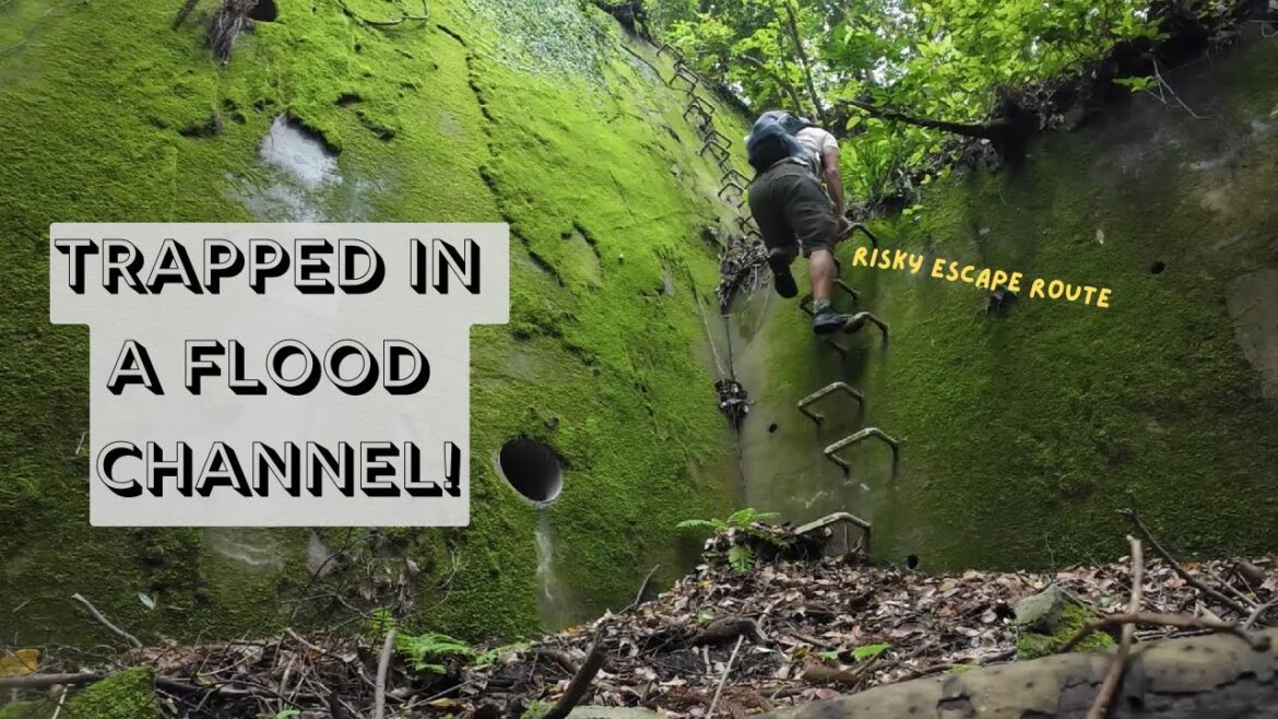 Trapped In a Bamboo Forest!