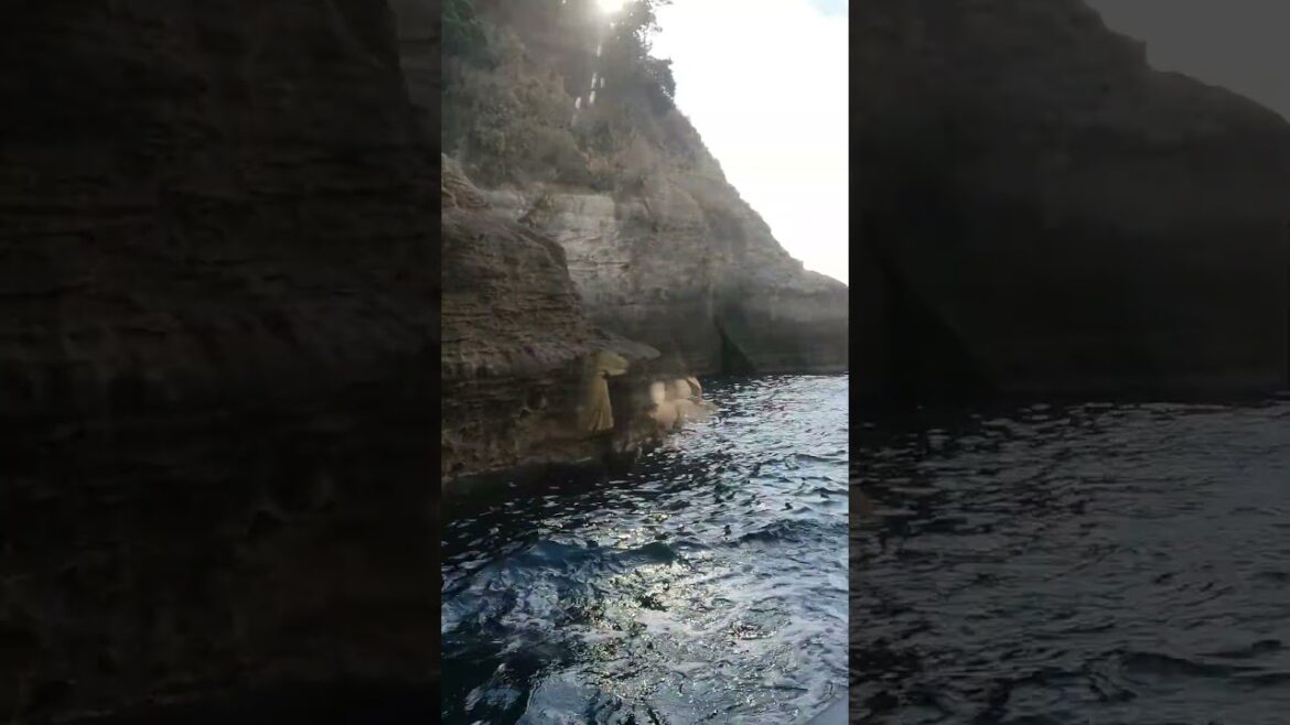 Izu, Shizuoka, Japan #5