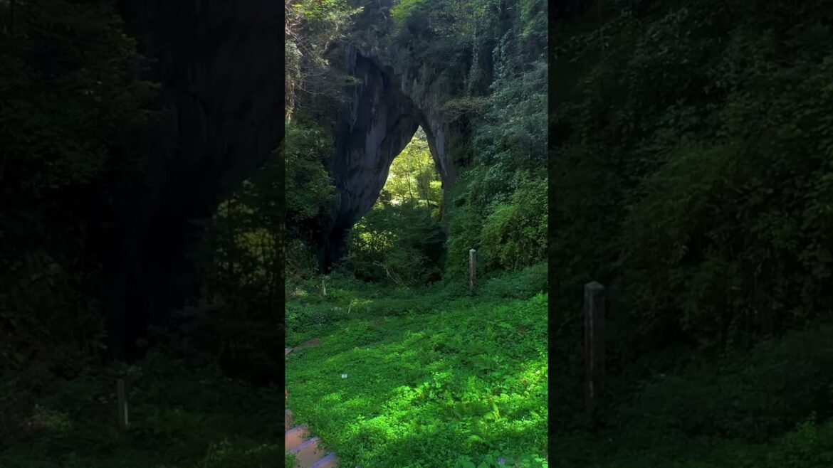 Traveling in Japan - Green summer Okayama #travel #okayama  #green #japantravel #summer #suzume