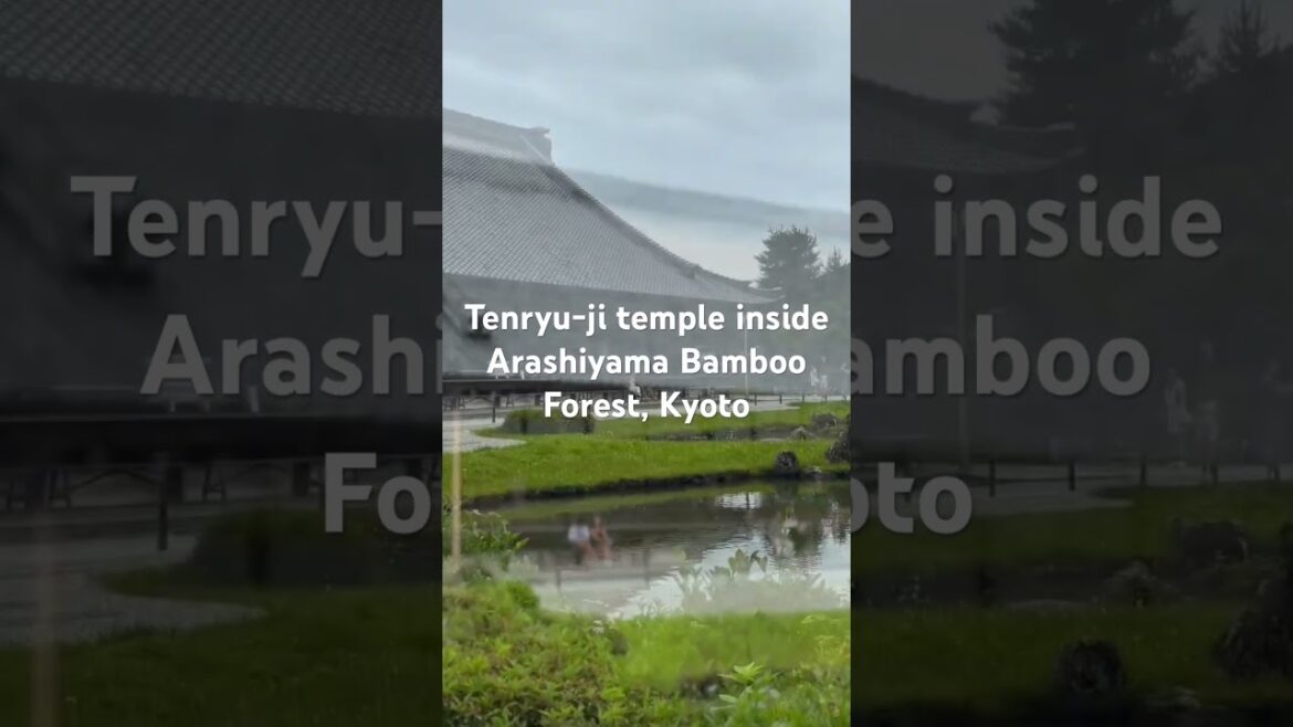 Ep: 21 Tenryu-Ji temple inside Arashiyama bamboo forest | Sogen pond garden  #shorts #temple #zen