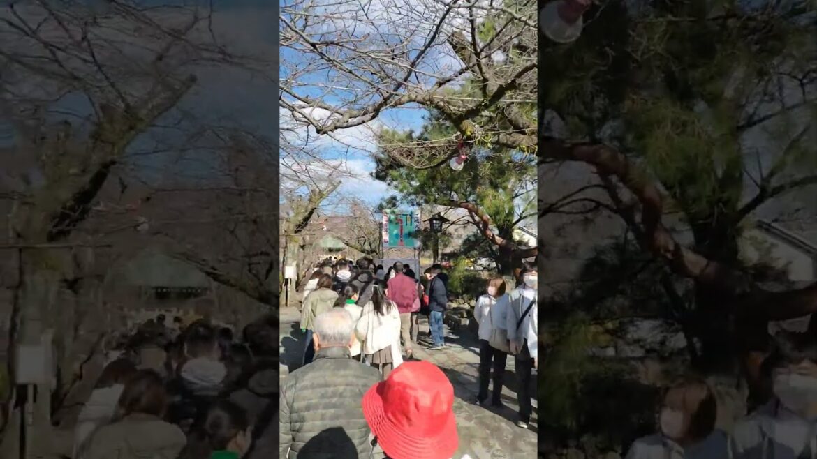 Mishimataisha, Shizuoka  Japan