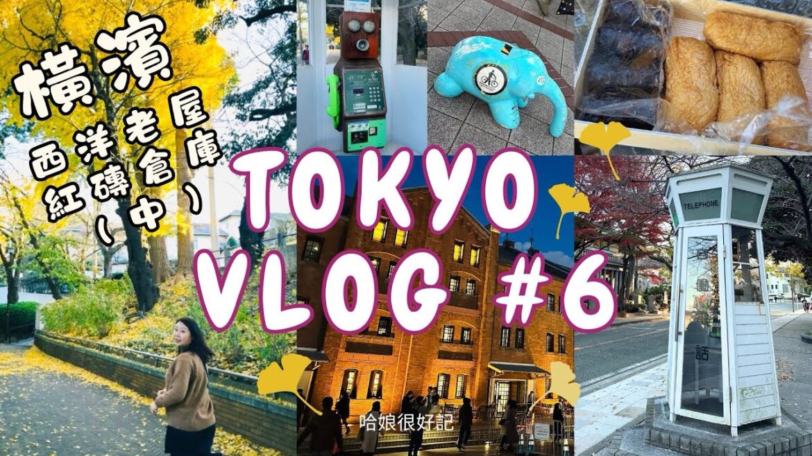 日本最不像日本的地方？橫濱也太美太好拍！📷🍁元町公園、西洋老屋、山下公園、紅磚倉庫，拍照控必訪！復古街景Vlog/文青散步路線推薦🚶‍♀️