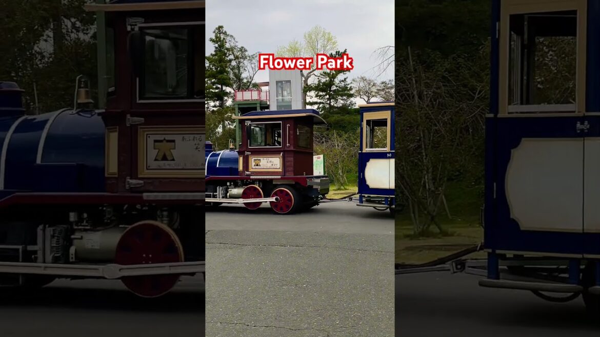 Flower Park. #japan #travel Flower Park. #japan #travel