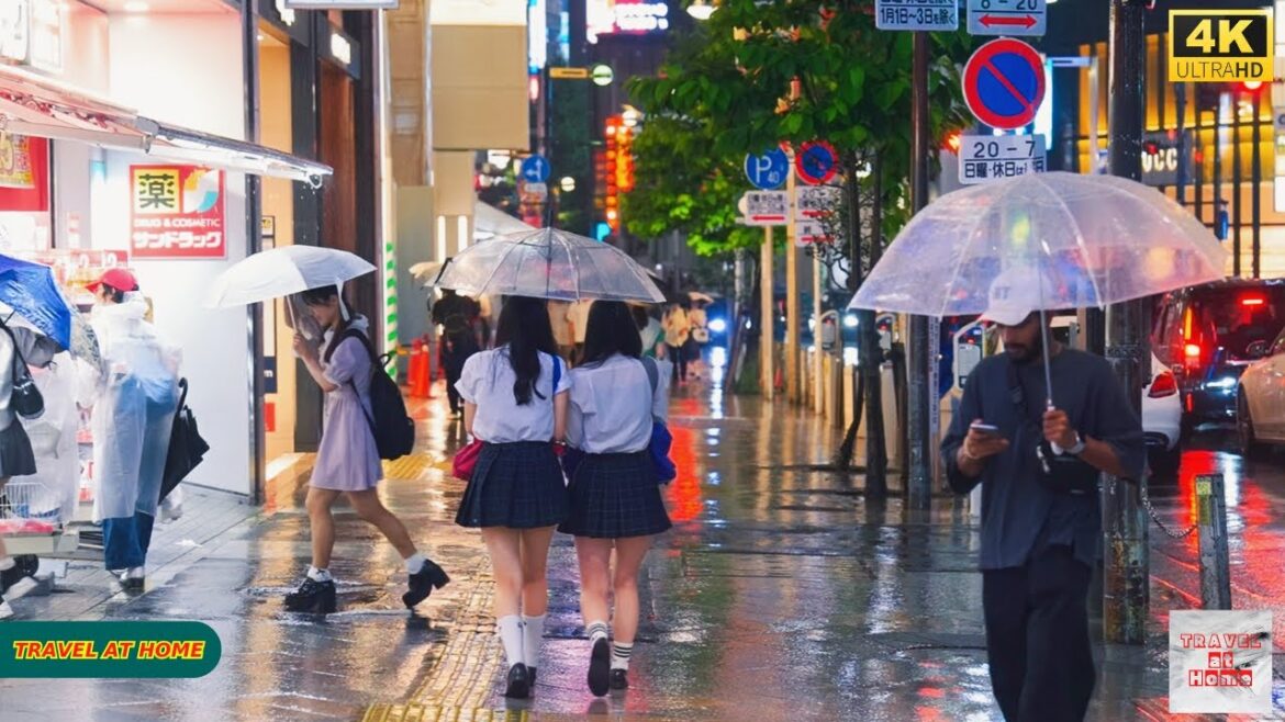 4K HDR Japan travel 2025 | Rainy Night Walk in Shinjuku(新宿)Tokyo  |  Relaxing Natural City ambience 4K HDR Japan travel 2025 | Rainy Night Walk in Shinjuku(新宿)Tokyo  |  Relaxing Natural City ambience