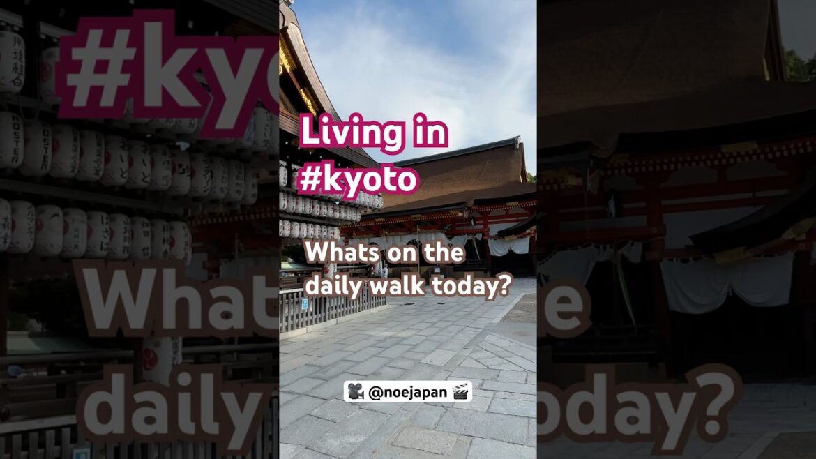 Living in #kyoto :whats on the daily #walking route today??👣 #livinginjapan #travel #life