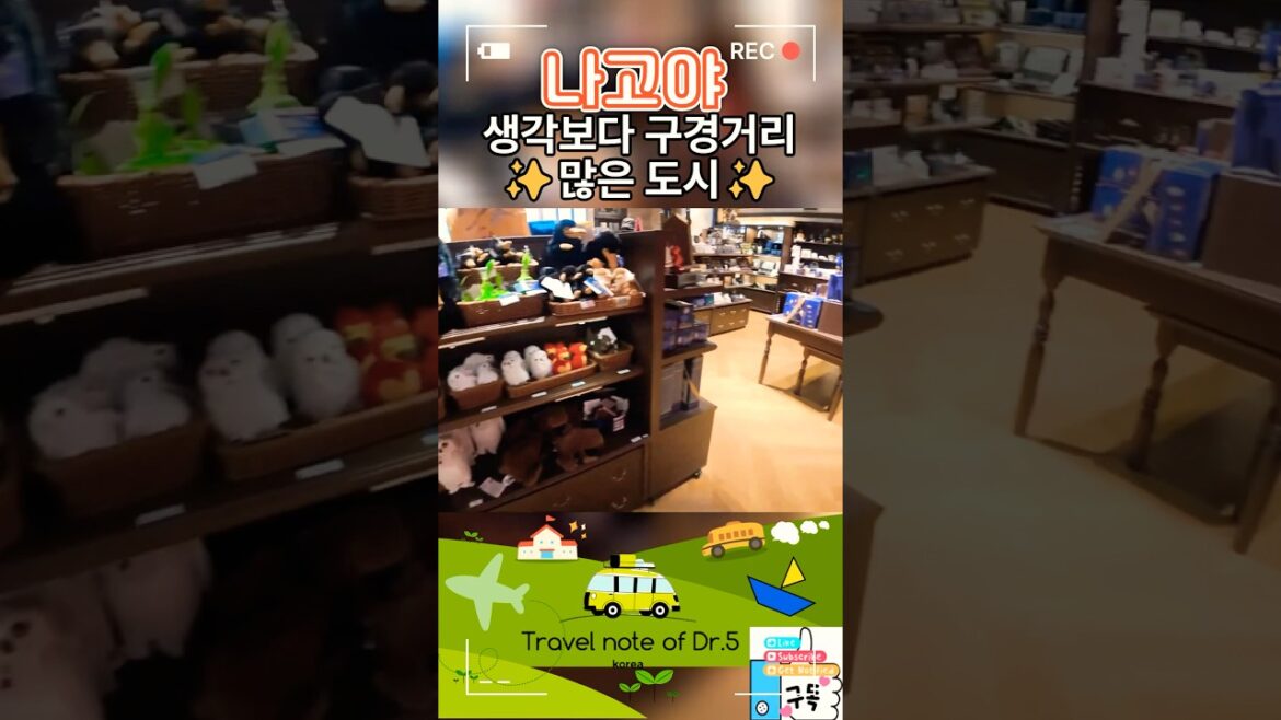 ๐ฏ๐ต๋ฐค์๋ ์ฆ๊ฑฐ์ด ๋๊ณ ์ผ ์ฌํ๊ธฐ! ๐ฏ๐ต๋ฐค์๋ ์ฆ๊ฑฐ์ด ๋๊ณ ์ผ ์ฌํ๊ธฐ!