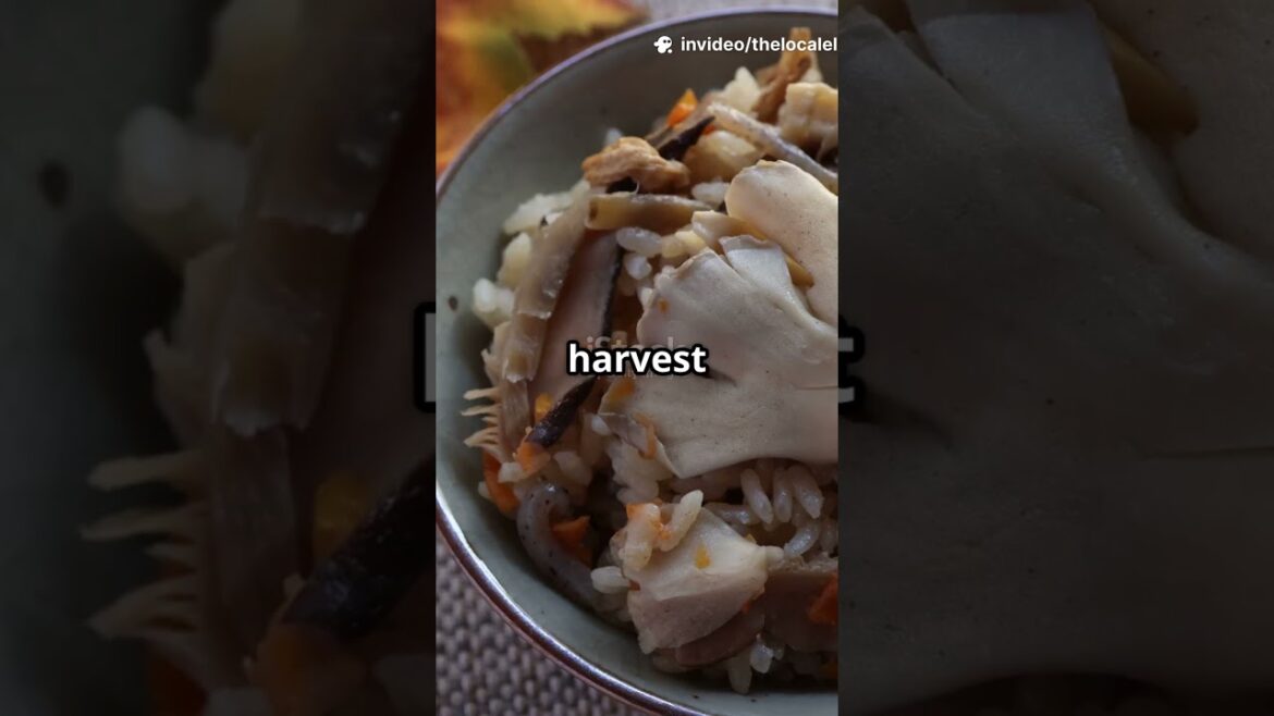 Where Fall Arrives First: The Hidden Gem Town That Turns Red in August Where Fall Arrives First: The Hidden Gem Town That Turns Red in August