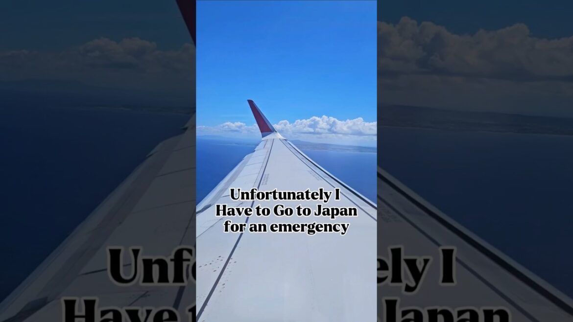 This needs my immediate attention! #travel