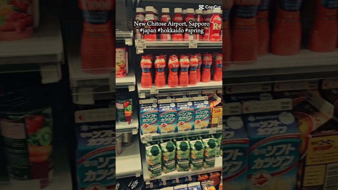 New Chitose Airport Spring Time in sapporo, Hokkaido