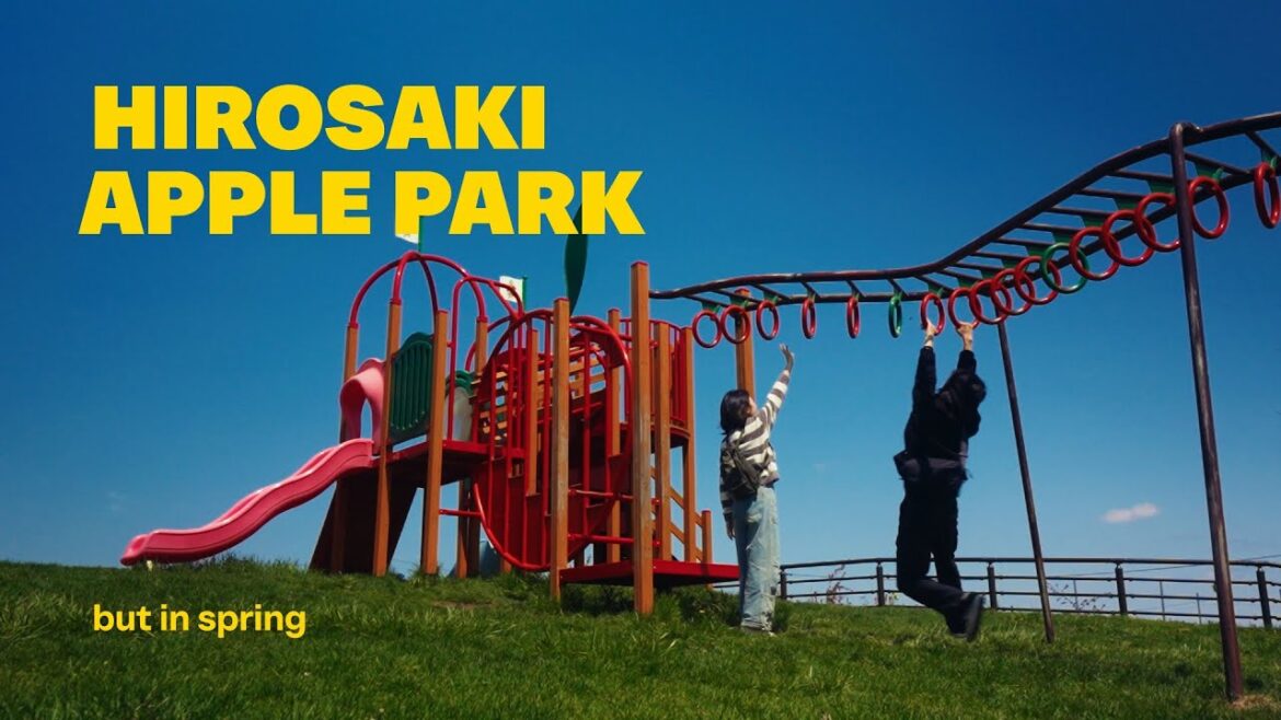 We went to Hirosaki Apple Park to pick apples but guess what we found