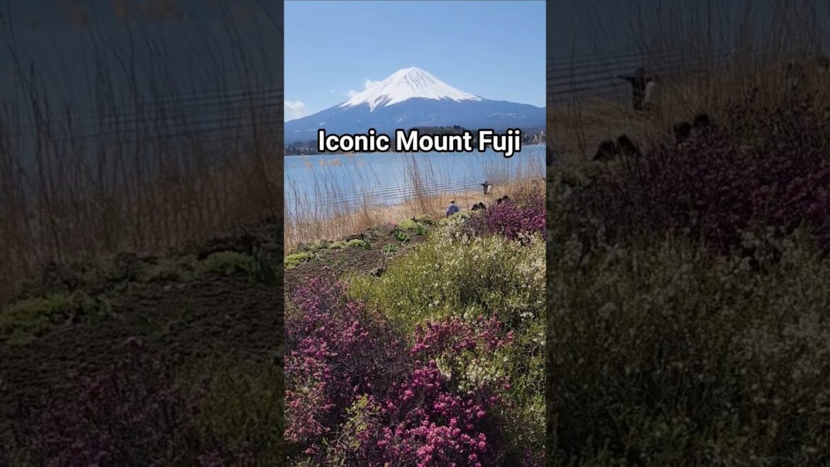 Tokyo Escape to Mt. Fuji: Solo Trip Mental Reset