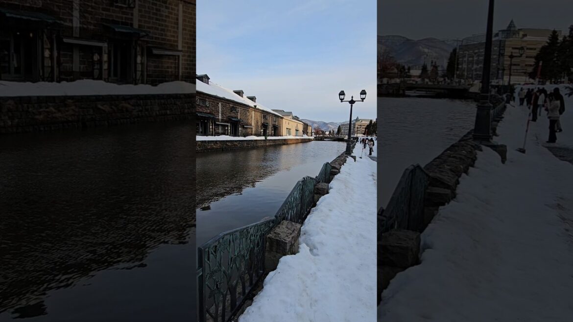 📍Otaru Canal, Hokkaido #hokkaido #travel #hokkaidojapan #japan #otaru