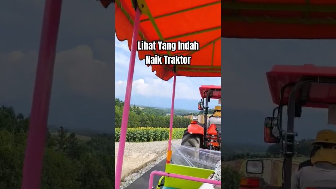 Indahnya Naik Traktor di Shikisai No Oka, Biei Hokkaido, Jepang