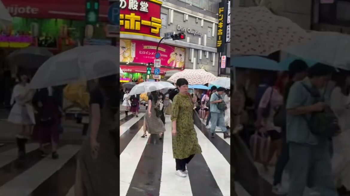 Rainy Day at Shibuya Scramble – The World’s Busiest Crossing 🌏☔ #shiboya #shiboyascramble #tokyo Rainy Day at Shibuya Scramble – The World’s Busiest Crossing 🌏☔ #shiboya #shiboyascramble #tokyo