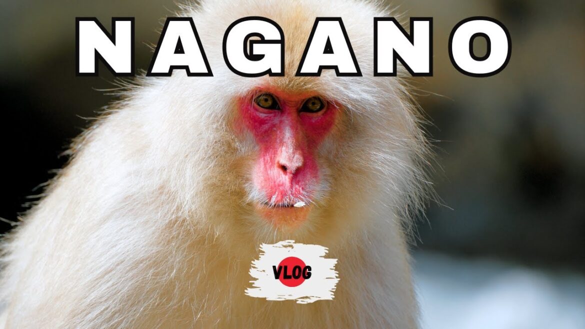 Nagano Geheimtipp in Japan 🇯🇵 | Schneeaffen & verborgene Schätze entdecken!” Nagano Geheimtipp in Japan 🇯🇵 | Schneeaffen & verborgene Schätze entdecken!"
