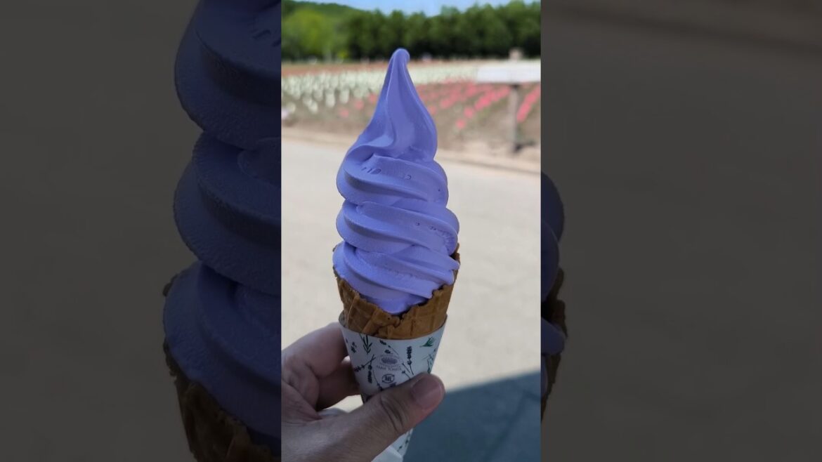 A summer must-try for tourists in Furano ~ lavender ice cream + Yubari melon #asia #japan #food