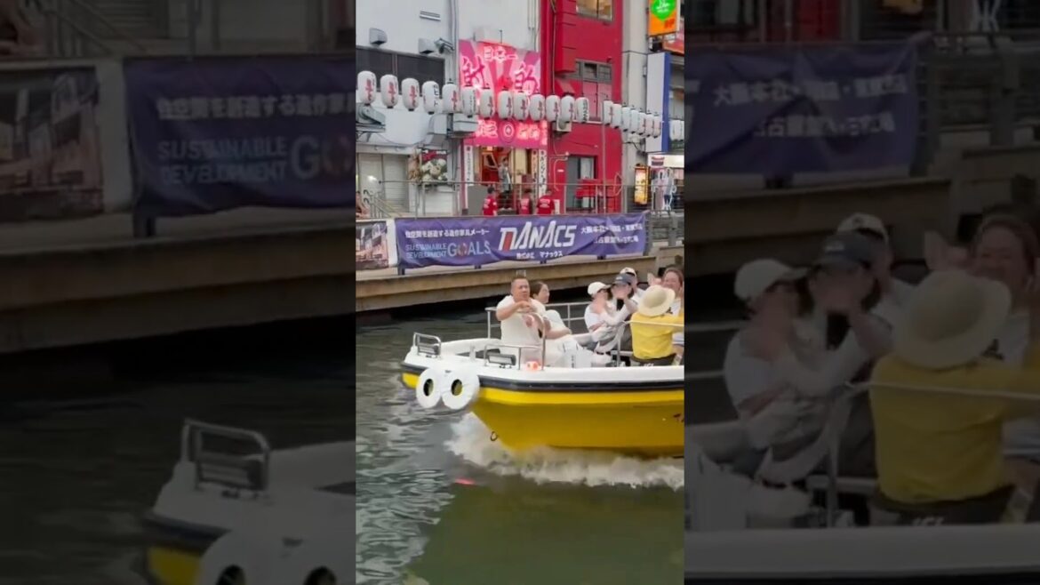 Vibes of Dotonbori, Osaka, Japan #shorts #travel #shortsvideo #japan #dotombori.