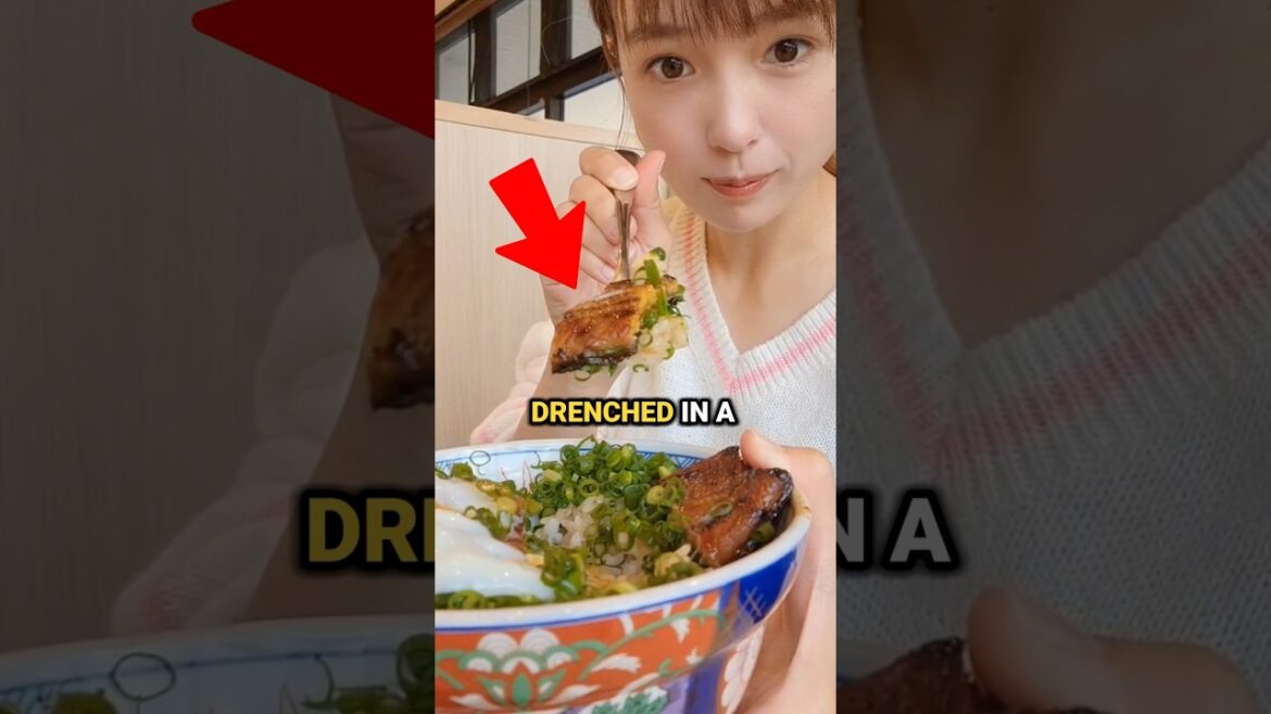 Top 3 Japan Viral Food In Kagoshima