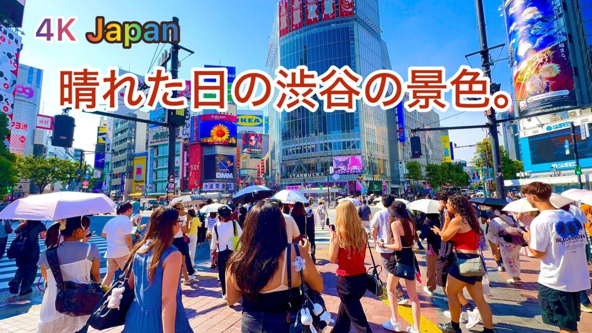 [4K] Shibuya / Shinjuku Long Version Walking Tour. Tokyo, Japan.