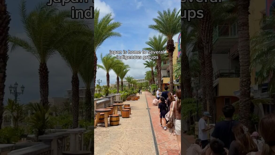 okinawan vs japanese okinawan vs japanese