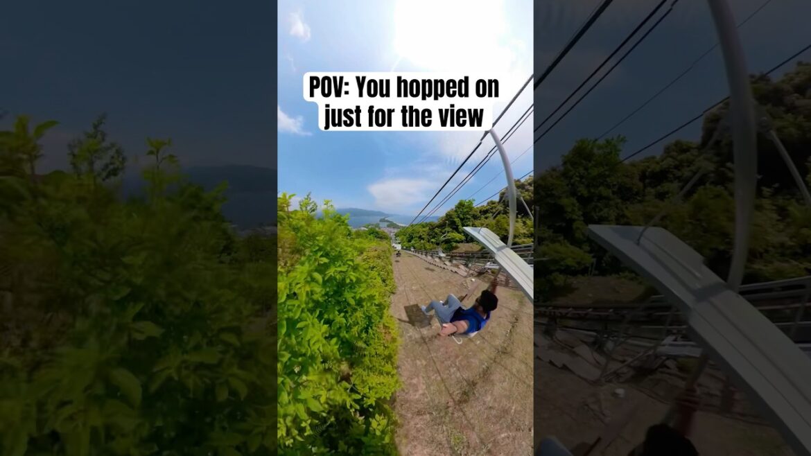 POV: You hopped on just for the view #viralvideo #travel #amanohashidate #kyoto #trendingnow