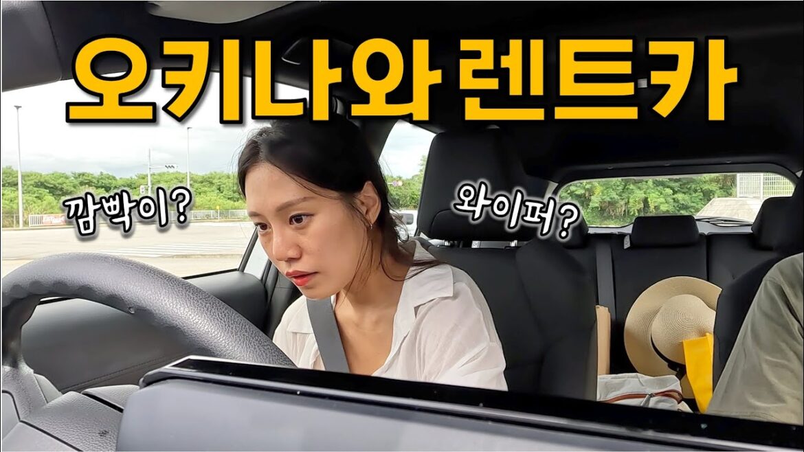 새드엔딩으로 끝나버린 오키나와 렌트카 여행 새드엔딩으로 끝나버린 오키나와 렌트카 여행