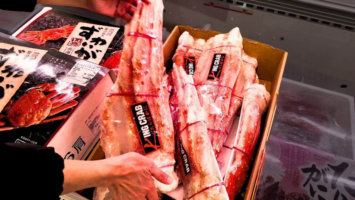 Authentic Japanese Seafood Supermarket Experience in Hakodate | 函馆海鲜超市探店体验!新鲜看得见! Authentic Japanese Seafood Supermarket Experience in Hakodate | 函馆海鲜超市探店体验!新鲜看得见!