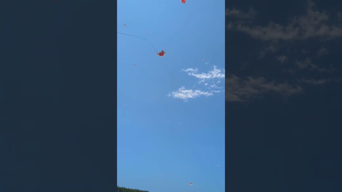 Hamamatsu Festival (A spectacular kite-flying battle and parading of the Goten float)