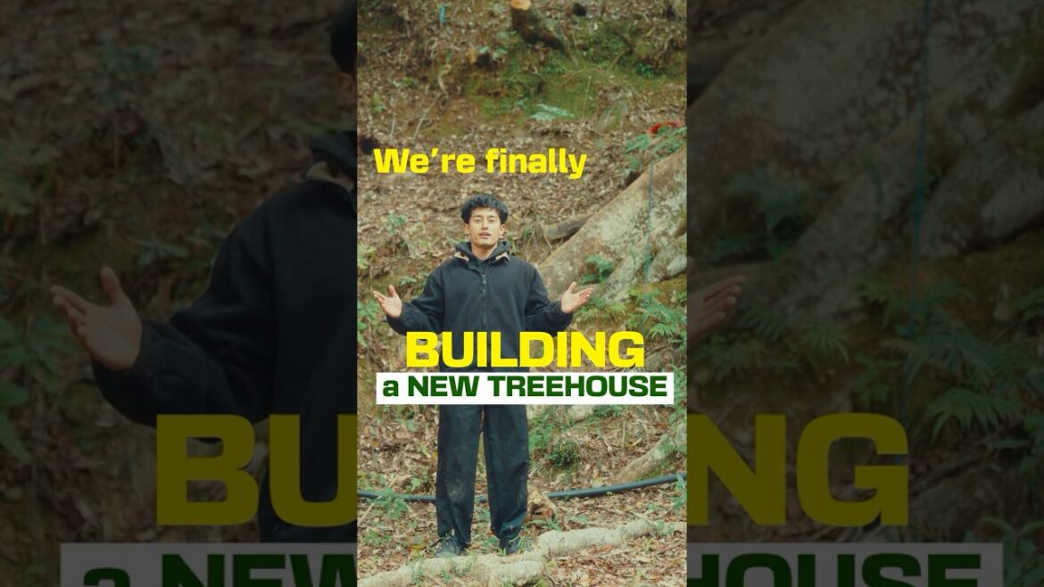 New DODECAGONAL Treehouse build starting this month! #treehouse #okinawa #ツリーハウス New DODECAGONAL Treehouse build starting this month! #treehouse #okinawa #ツリーハウス