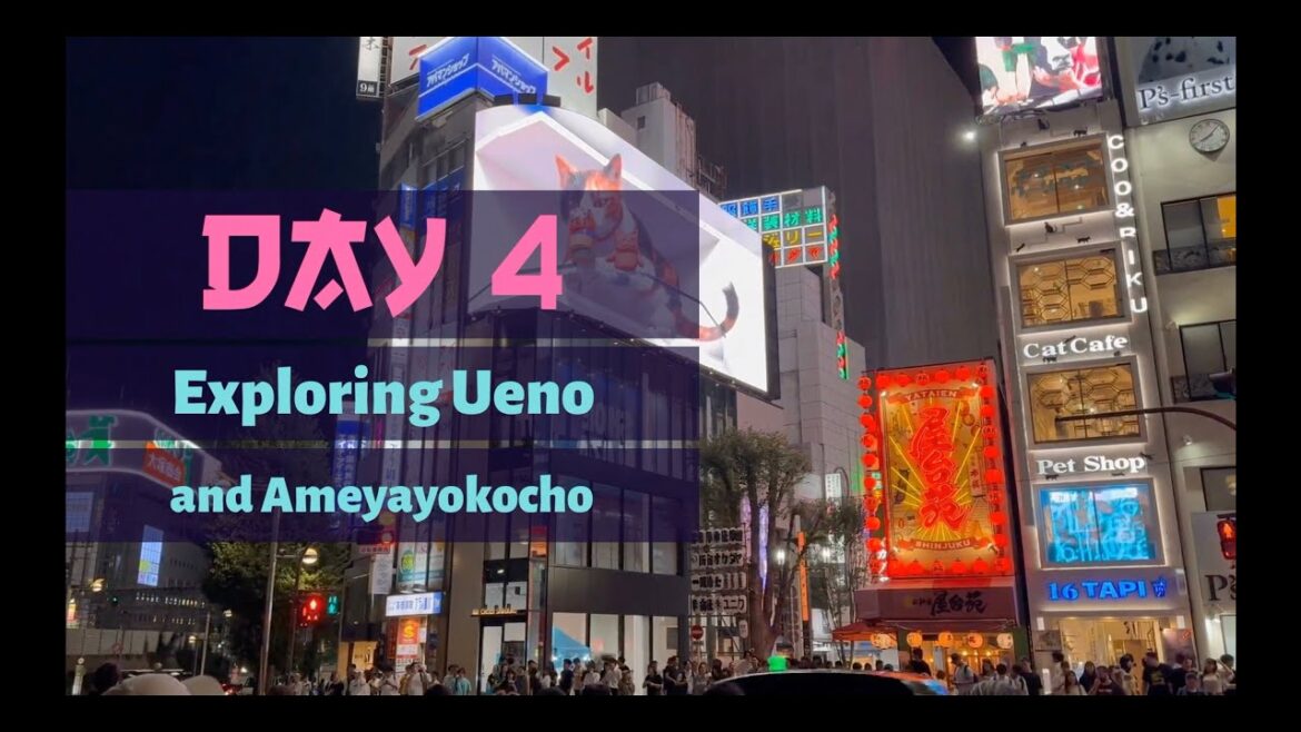 First time Visiting Japan:  Exploring Ueno and reasons to stay there! First time Visiting Japan:  Exploring Ueno and reasons to stay there!