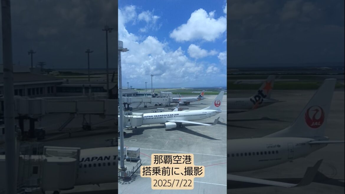 那覇空港搭乗前に撮影！#JAL#トランスオーシャン航空#ANA #japan #jetstar