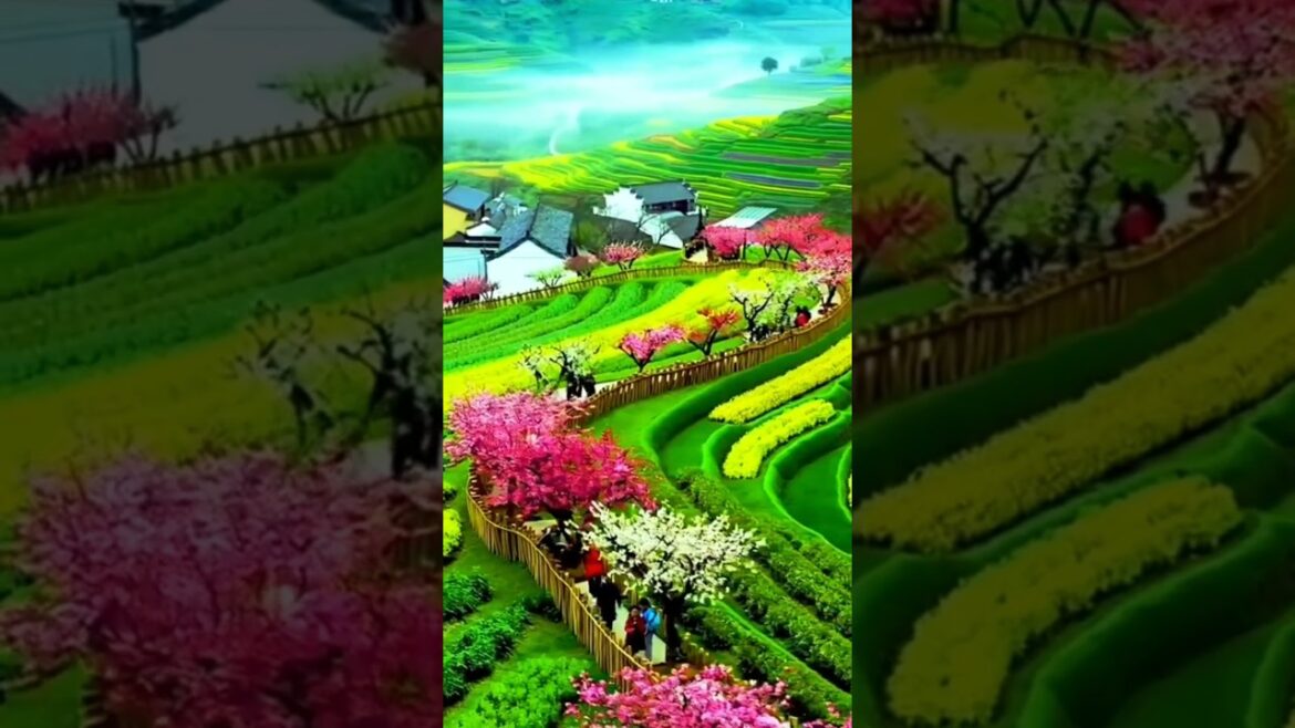 🎊Travel in world swizerland beautyful🎋 places#travel#youtubeshorts #shortsviral#shorts #viral #views