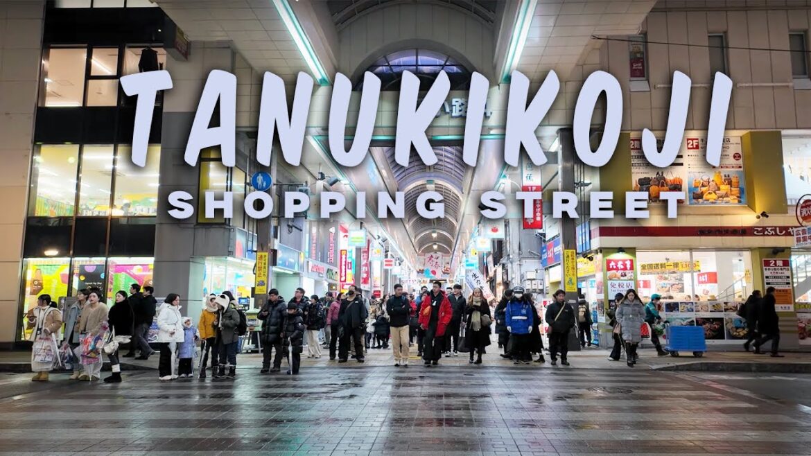 TANUKIKOJI SHOPPING STREET AND DON QUIJOTE STORE IN SAPPORO HOKKAIDO JAPAN