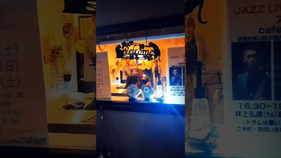 when you are on a solo trip in Kyoto