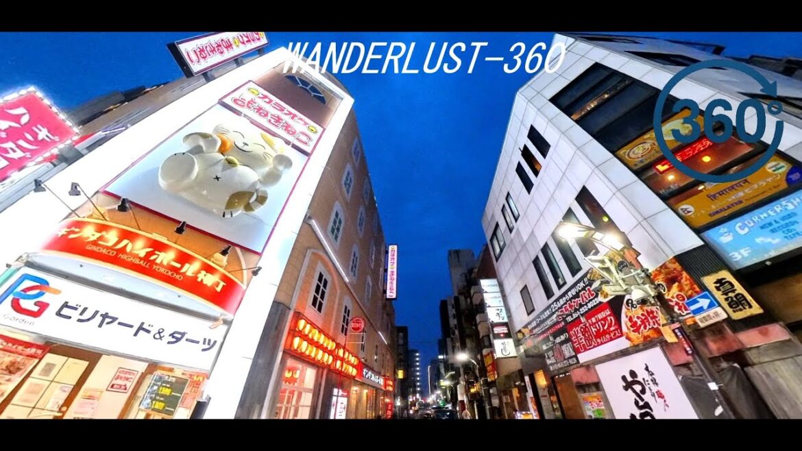 Shizuoka Nightlife  (VR-360°)