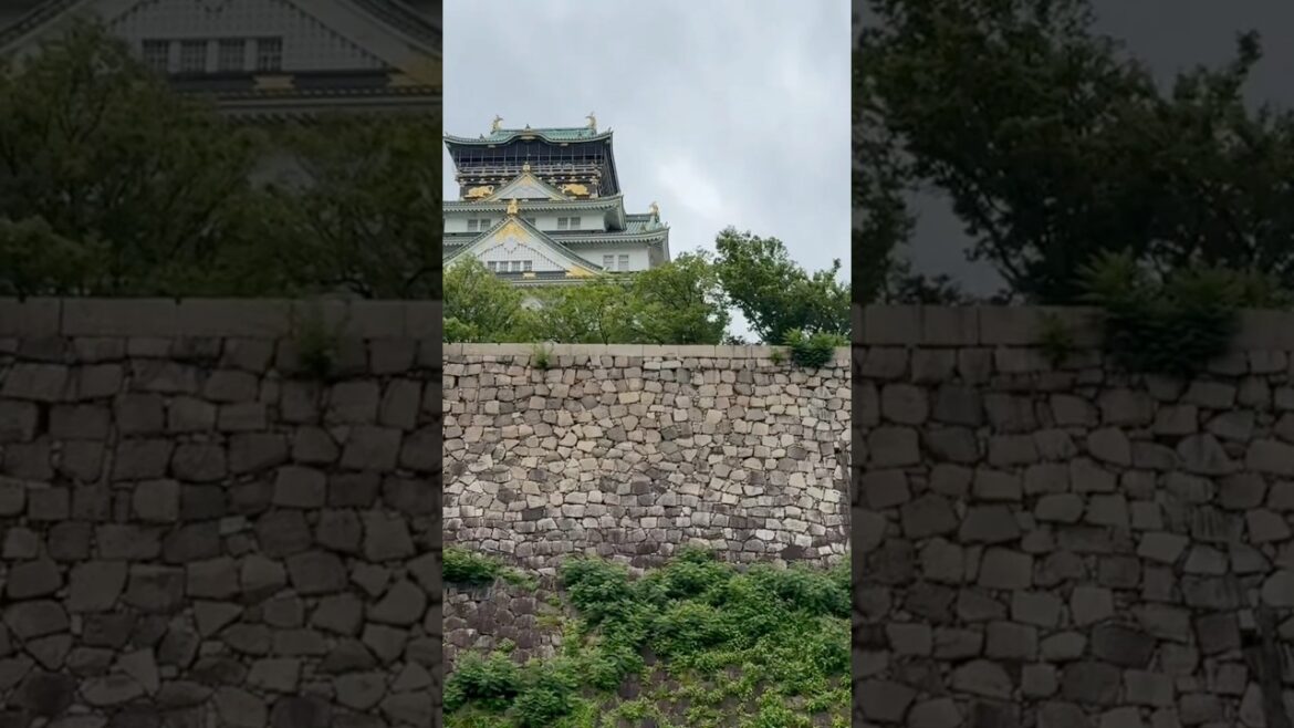 Osaka Castle, Japan. #shortsvideo #japan #osaka #shorts #travel #osakacastle Osaka Castle, Japan. #shortsvideo #japan #osaka #shorts #travel #osakacastle