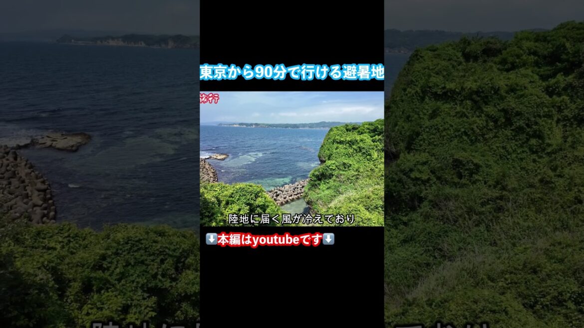 【千葉県ドライブ旅】勝浦市のグルメと観光を堪能する旅 #旅行vlog #千葉旅行 #千葉観光 #勝浦グルメ #勝浦観光