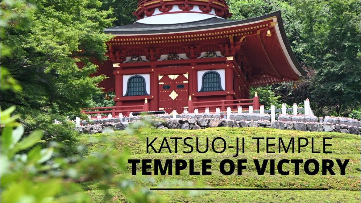 Katsuoji: Realistic Colour