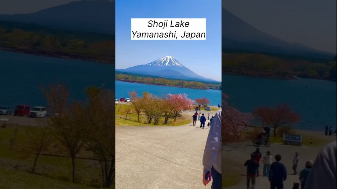 View of Mount Fuji from Lake Shoji | Japan's Hidden Gem #mountfuji #shortvideo #travel 🇯🇵#japan
