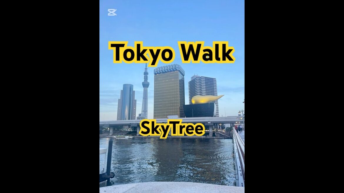 Tokyo Skytree to Asakusa, exploring Tokyo’s retro vibe